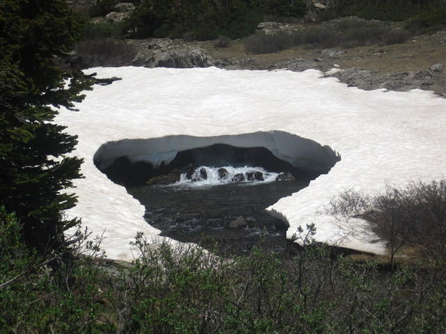 IMG_7438.JPG