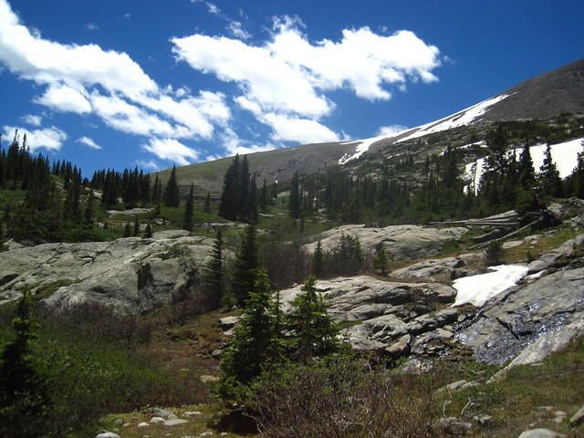 IMG_7443.JPG