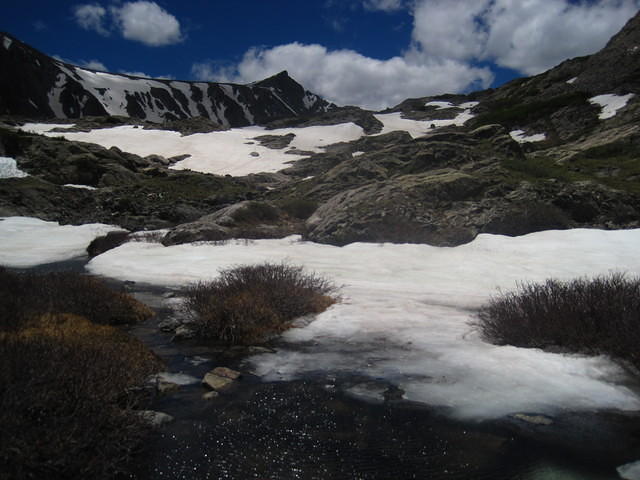 IMG_7450.JPG
