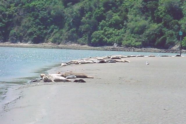 24March031.jpg