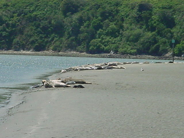 DSC01967.JPG