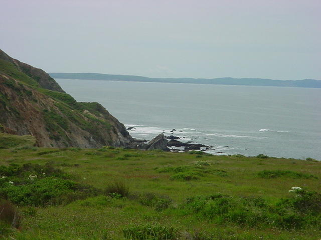 DSC01971.JPG