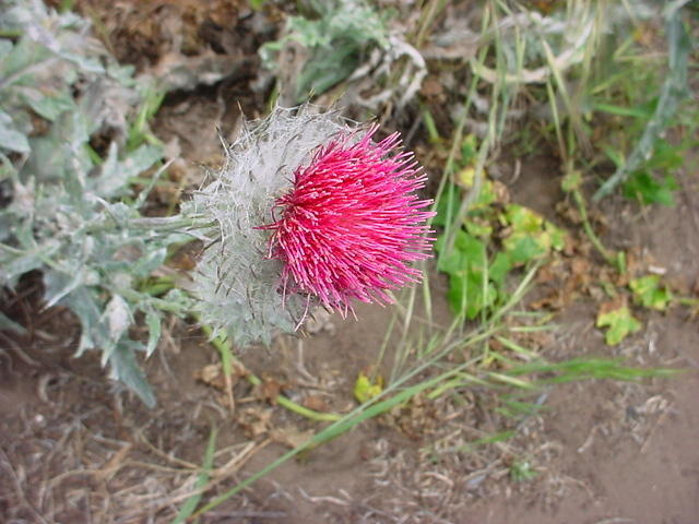 DSC01977.JPG