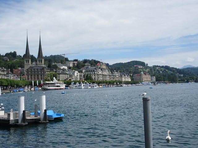 IMG 5513