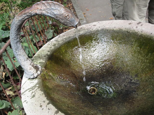 IMG 5547