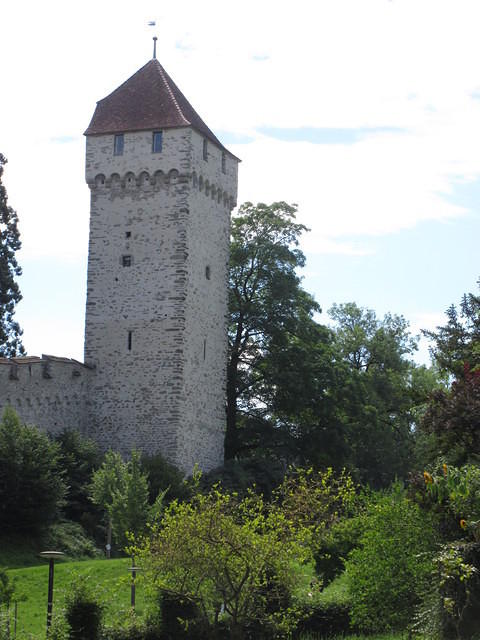 IMG 5555