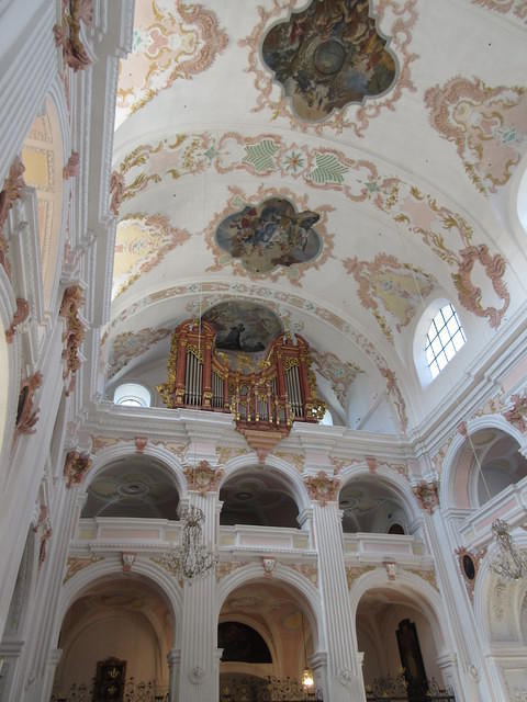 IMG 5588