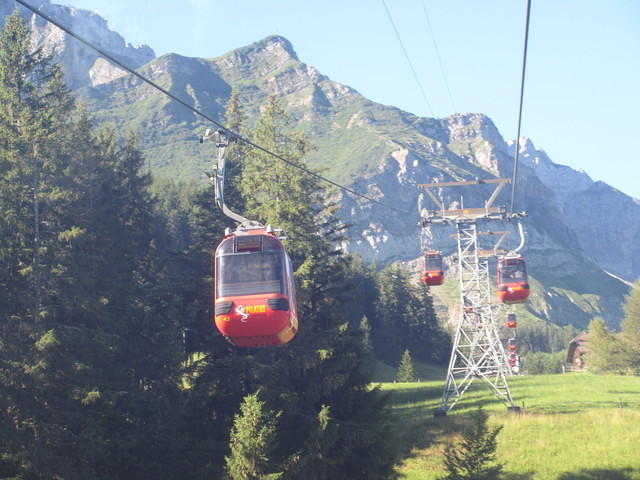 IMG 5667