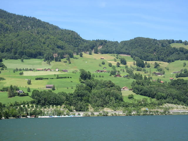 IMG 5878