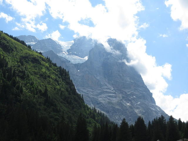 IMG 5914