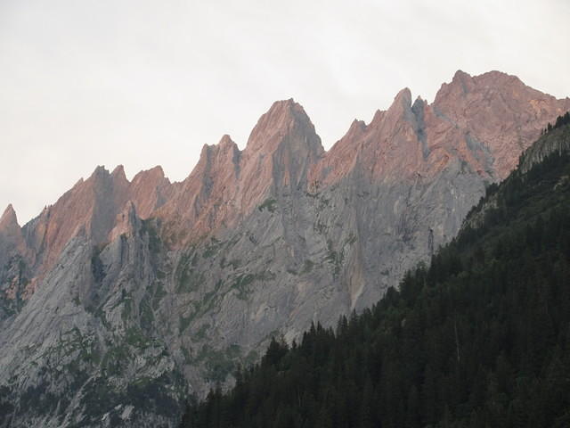 IMG 5953