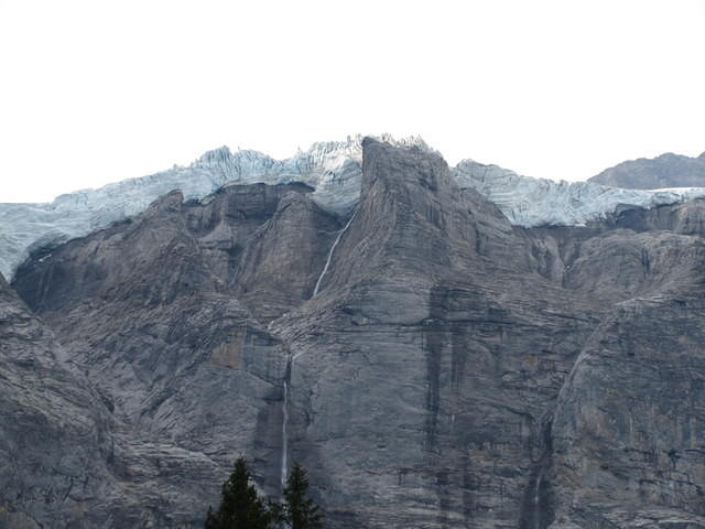 IMG 5956