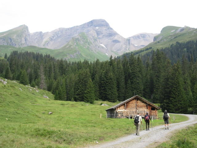 IMG 5966