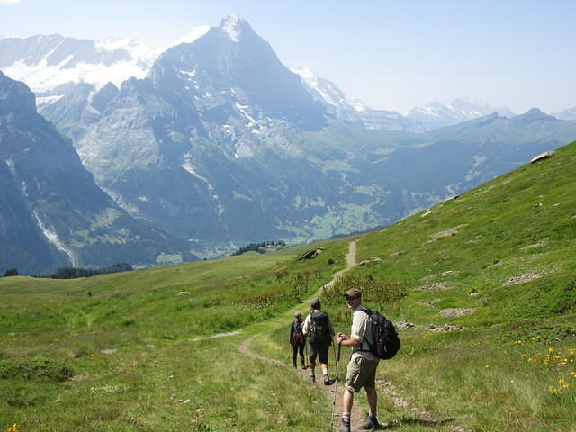 IMG 5993