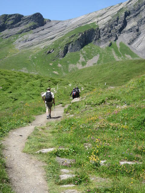 IMG 6025