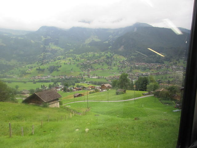IMG 6105