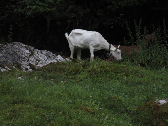 IMG 6249