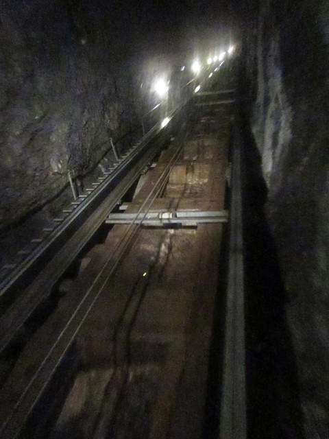 IMG 6264