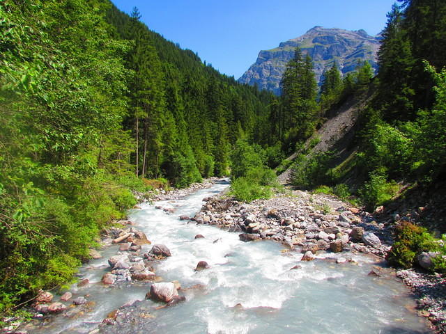 IMG 6457