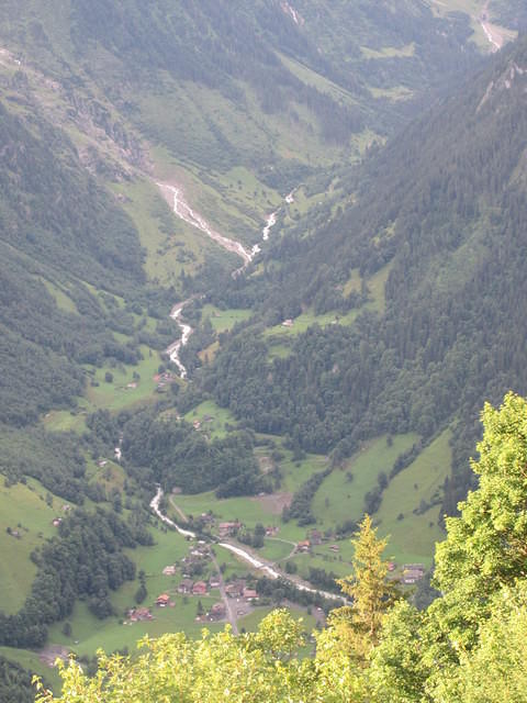 IMG 6542