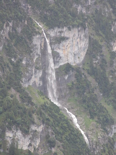 IMG 6548