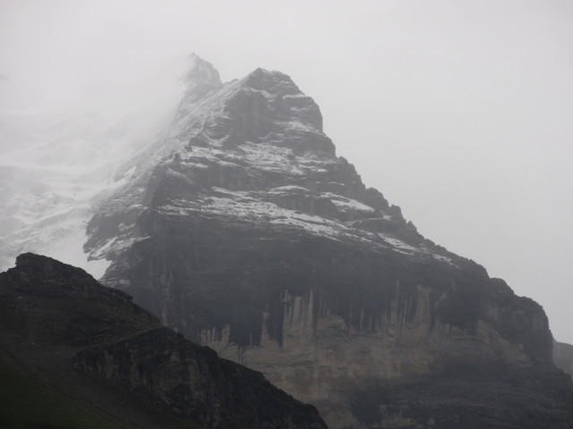IMG 6558