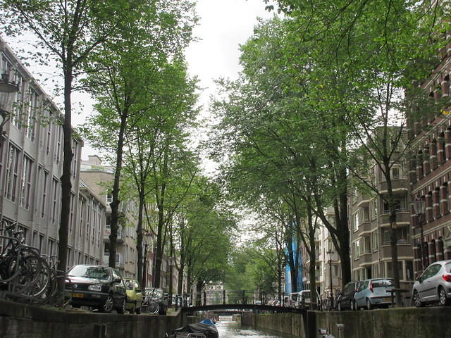 IMG 6635