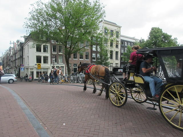 IMG 6788