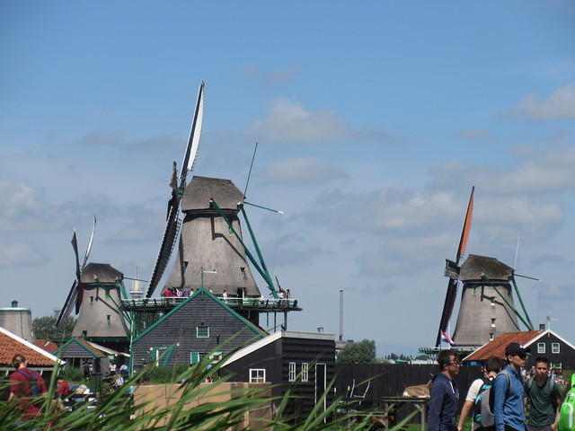 IMG 6868