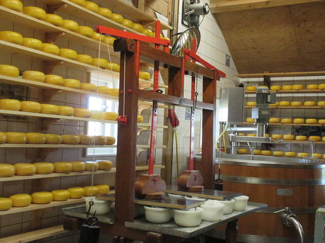IMG 6873