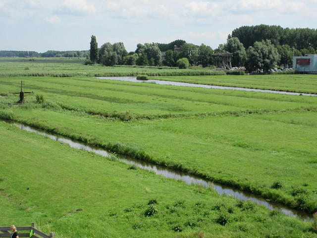 IMG 6881