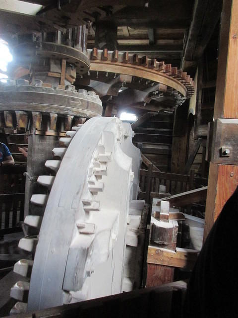 IMG 6889