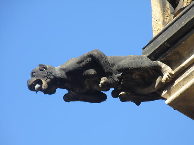 IMG 7543