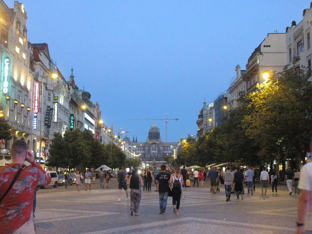 IMG 7555