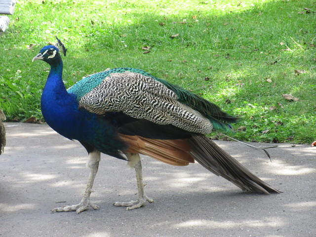 IMG 7624