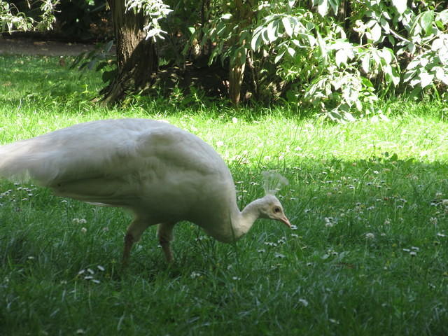 IMG 7642