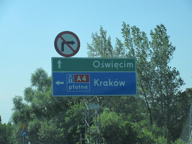 IMG 7739