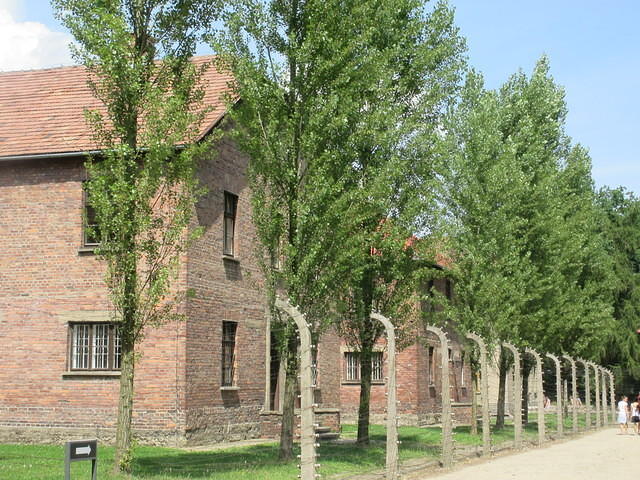 IMG 7753