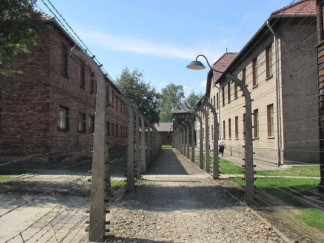 IMG 7782