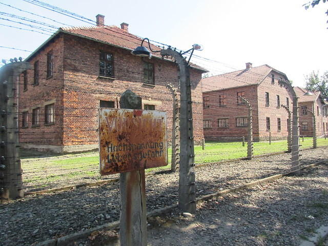 IMG 7794