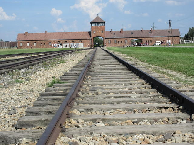 IMG 7820