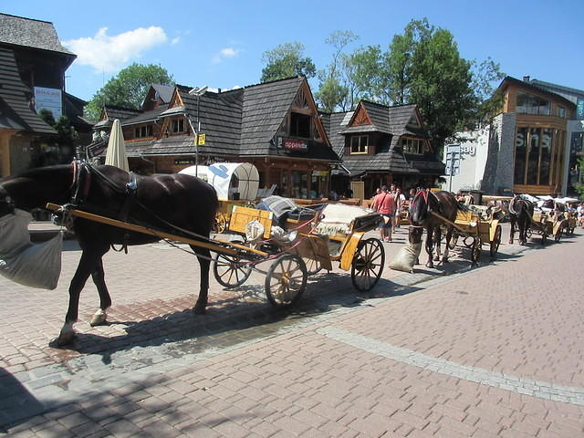 IMG 7926