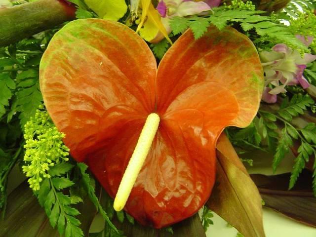 DSC01102.JPG