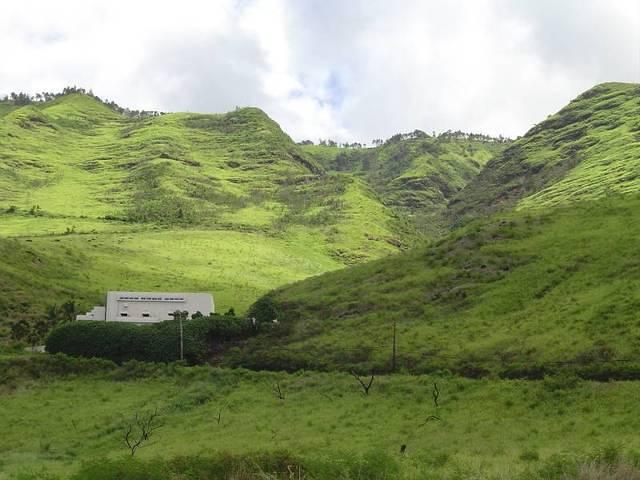DSC01121.JPG