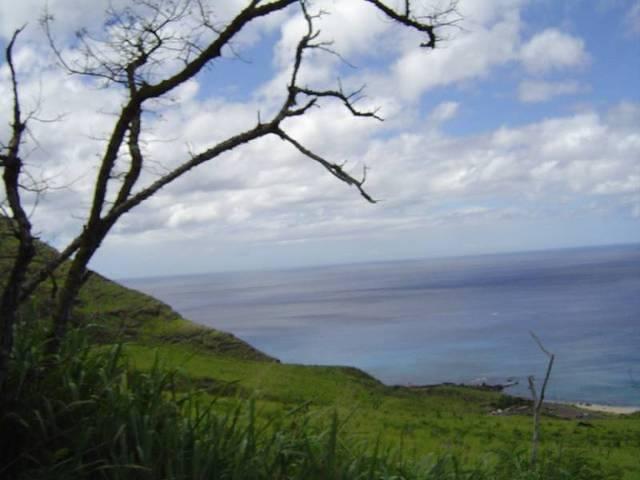 DSC01123.JPG
