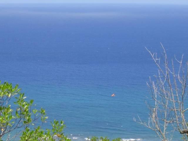 DSC01214.JPG