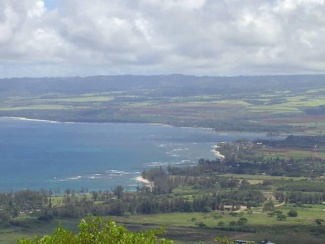 DSC01218.JPG