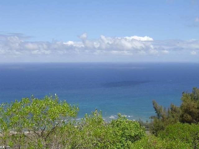 DSC01219.JPG