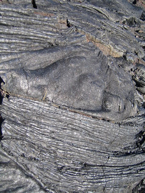 IMG_0374.jpg