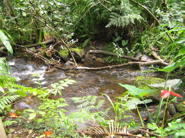 IMG_0427.jpg